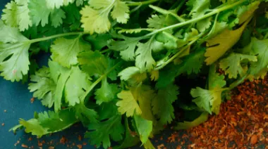 garnishing-instructions-image